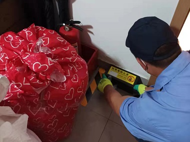 南海专业灭鼠所工厂车间、配电房灭鼠方案