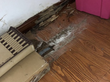 丹灶白蚁预防公司住宅防白蚁，这几步千万不能少