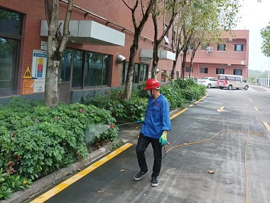 里水四害消杀公司绿化带蚊蝇防治预防基孔肯雅热