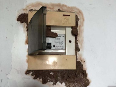 罗村白蚁预防中心白蚁危害侵染传播的途径